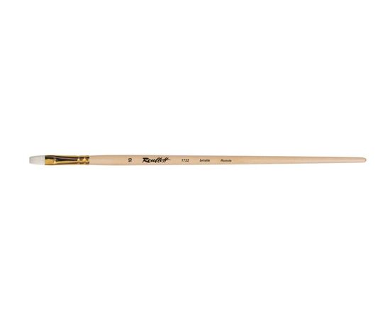 1722 - ​Flat brush from bristle with short length-out